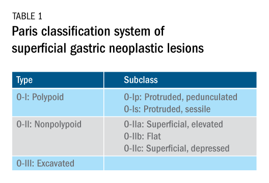 Table 1. Paris classification system of superficial gastric neoplastic lesions