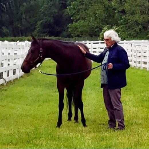 Dr. Yuval Neria with Crafty, one of the Man O'War Project's equine therapy horses.