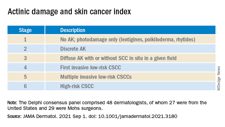 Actinic damage and skin cancer index