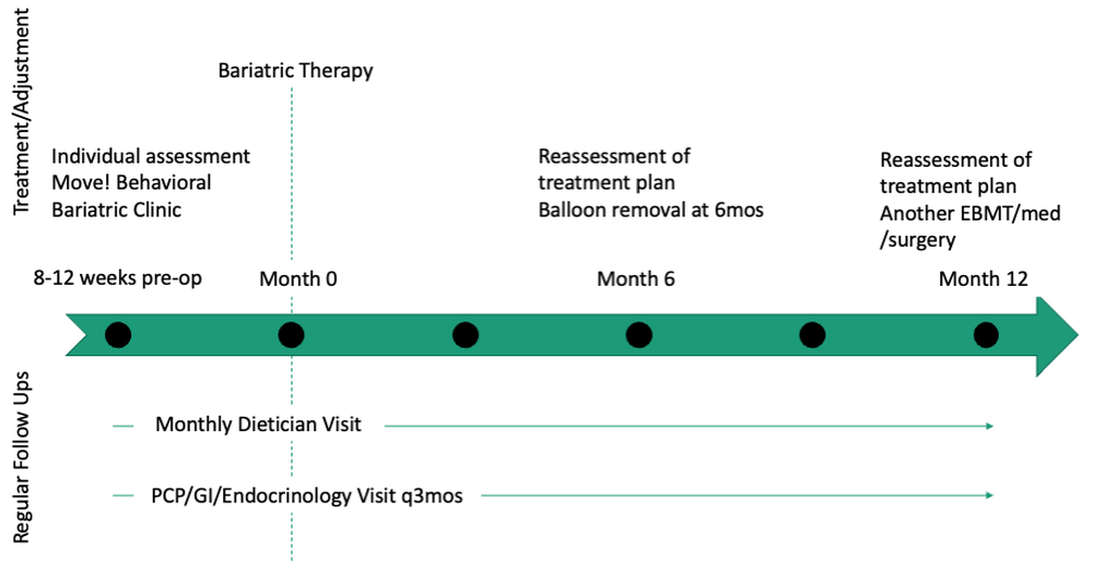 Fig. 2. Structure of endobariatric clinic and follow-up