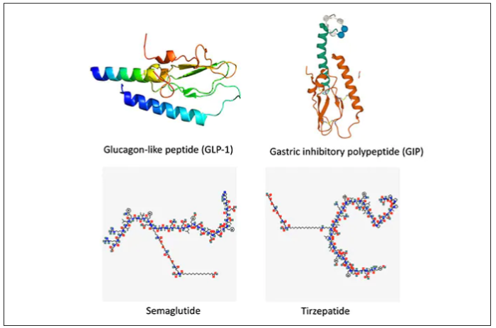 glucagon-like peptide and gastric inhibotory polypeptide