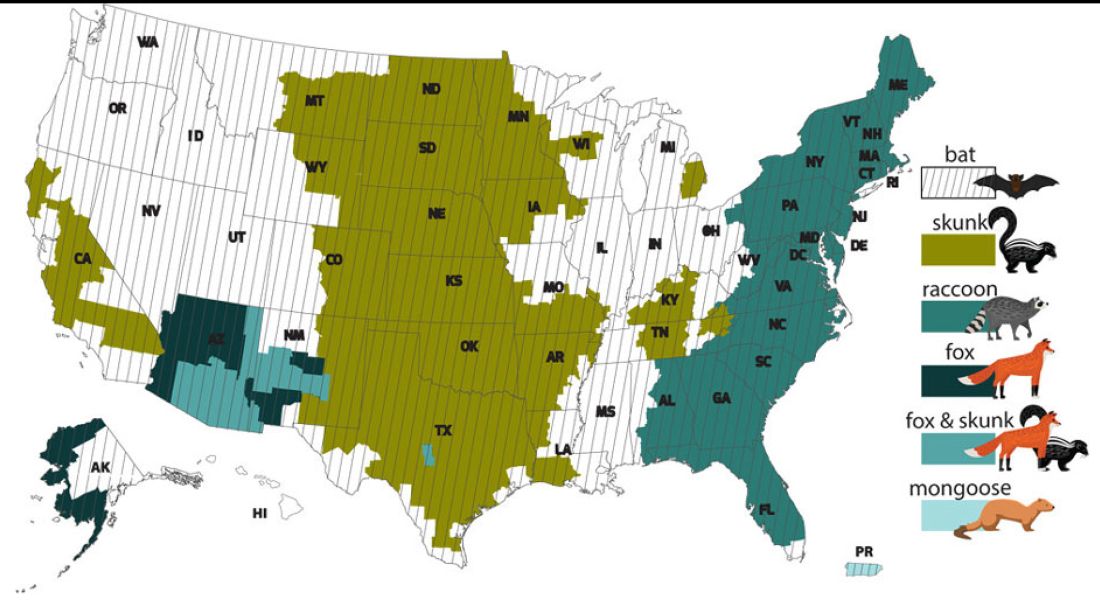 Rabies species location by state