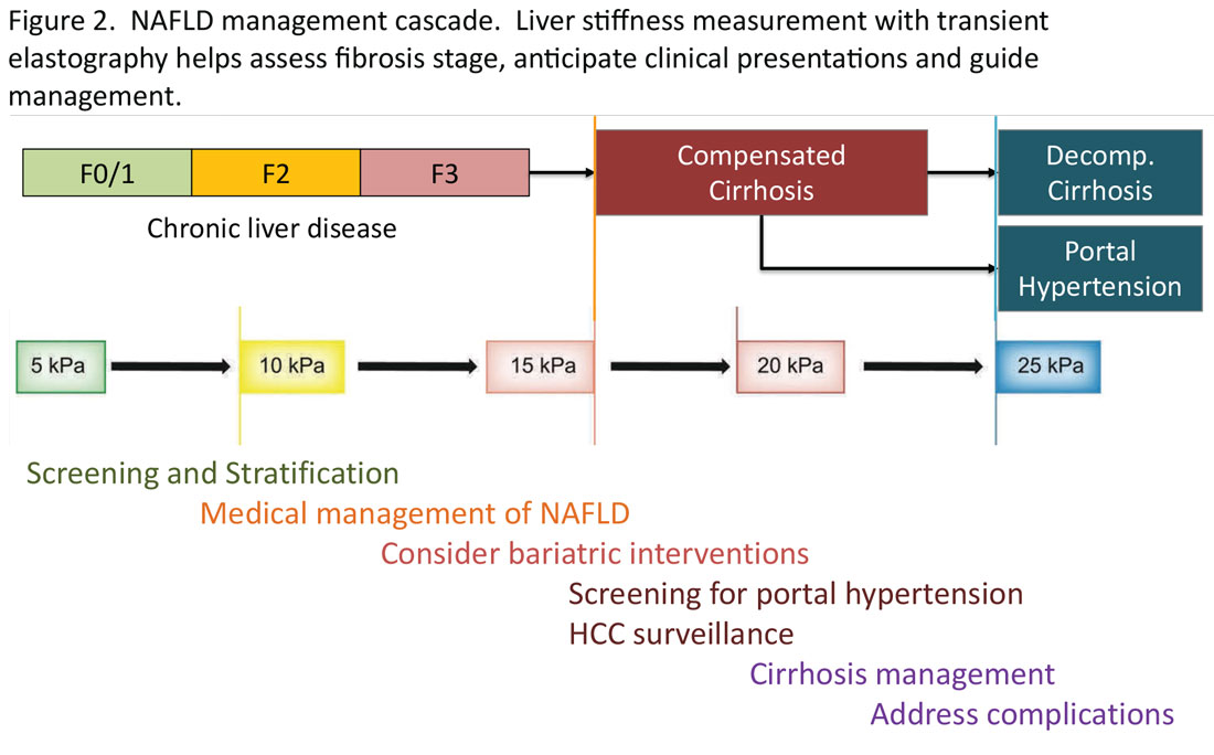 NAFLD management cascafe graphic