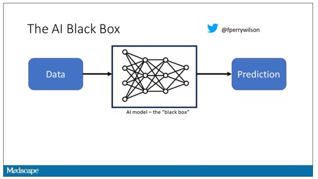 The AI Black Box diagram