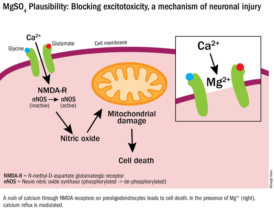 MgSO4 Plausibility: Blocking excitotoxicity, a mechanism of neuronal injury