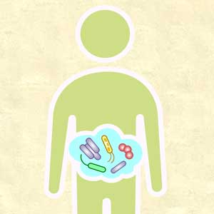 Gut microbiota and its implications for psychiatry: A review of 3 studies