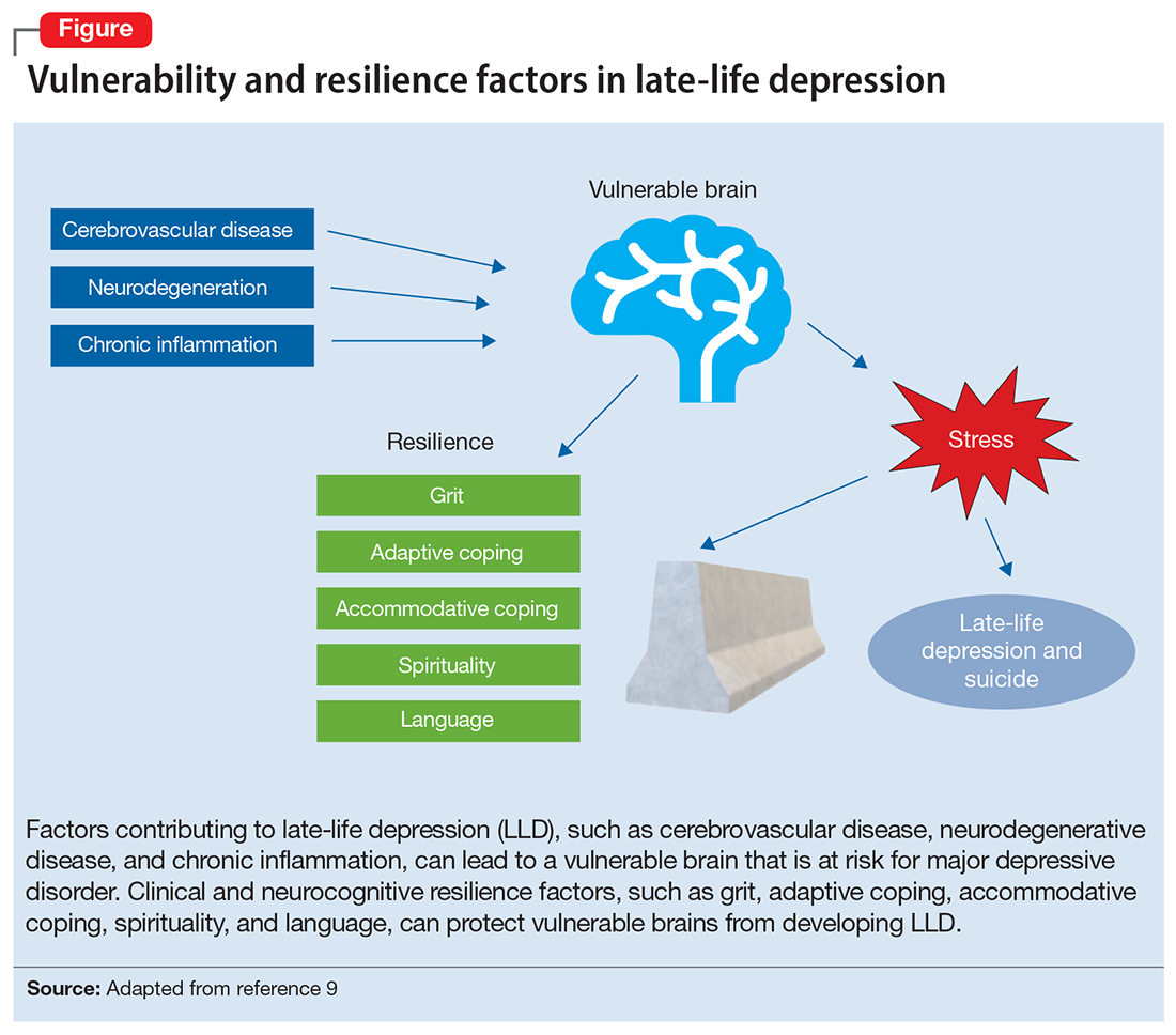Vulnerability and resilience factors in late-life depression