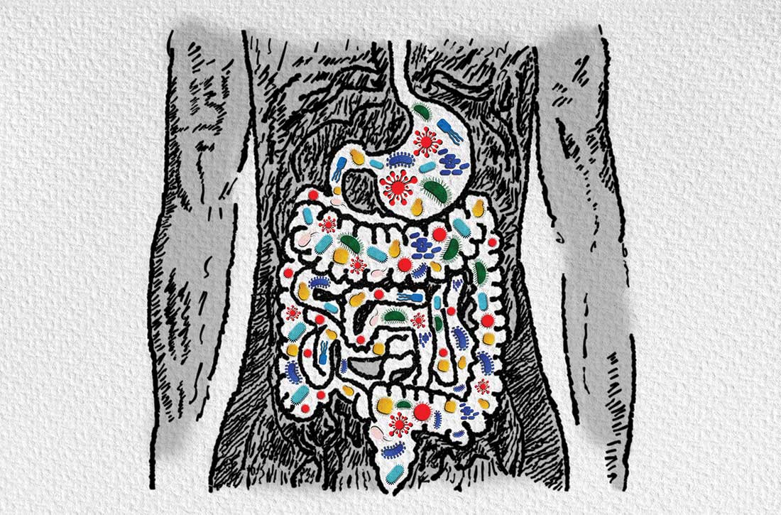 Gut microbiota