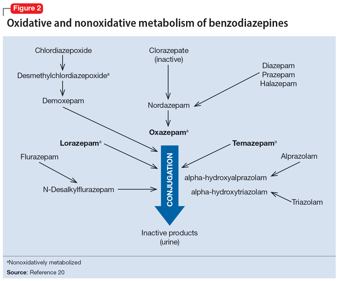 Oxidative and nonoxidative metabolism of benzodiazepines