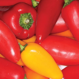 Capsicum peppers, which may cause irritant contact dermatitis.