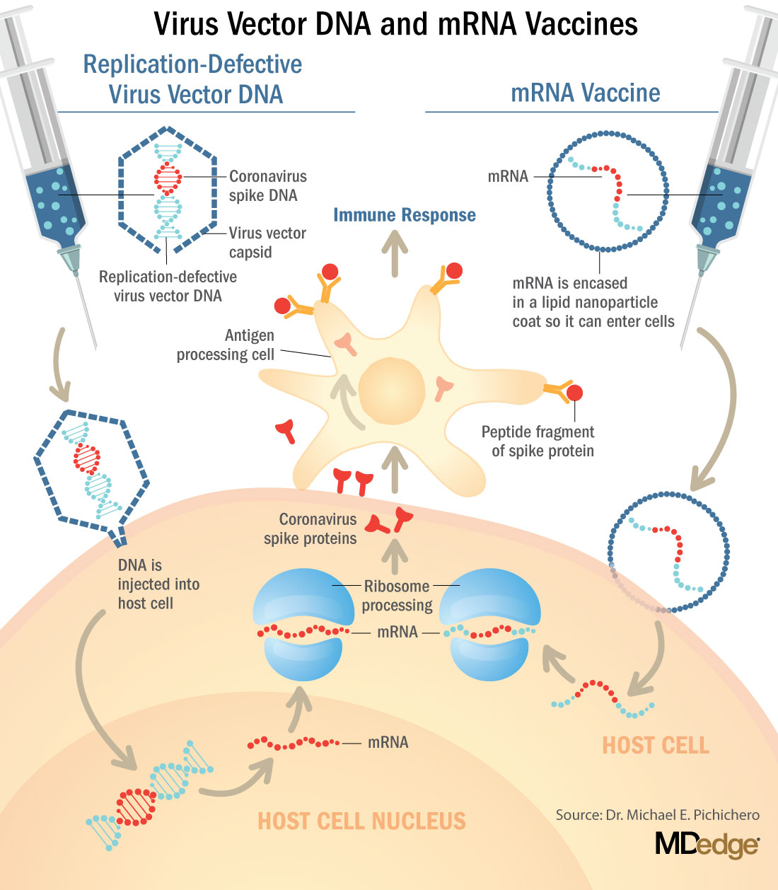 Understanding messenger RNA and other SARS-CoV-2 vaccines | MDedge ...