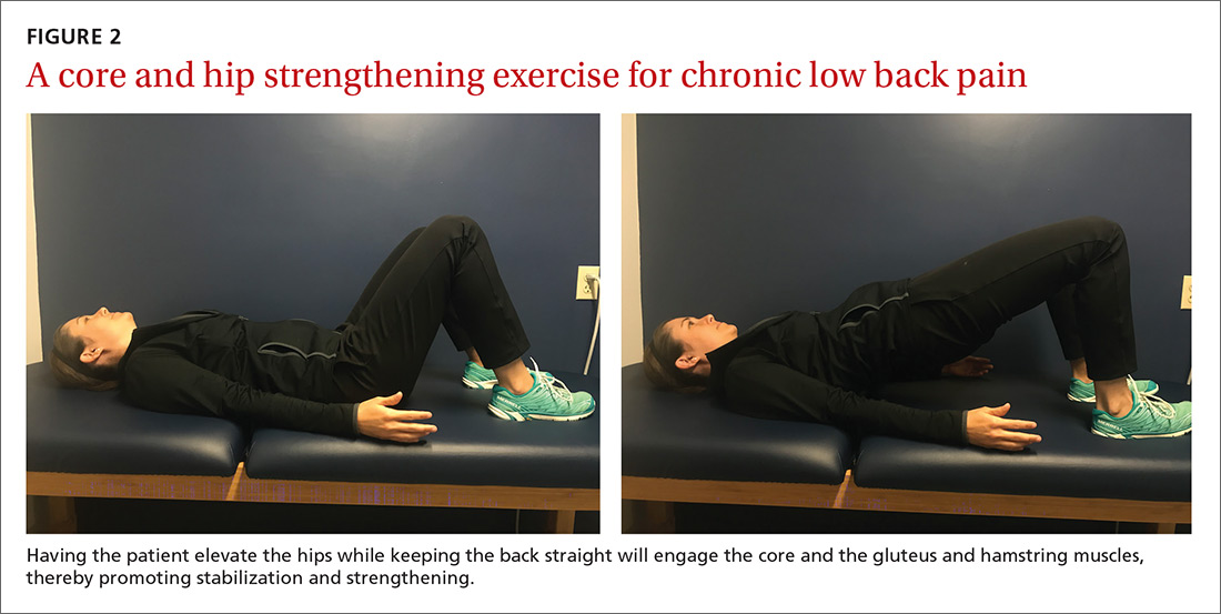 A core and hip strengthening exercise for chronic low back pain