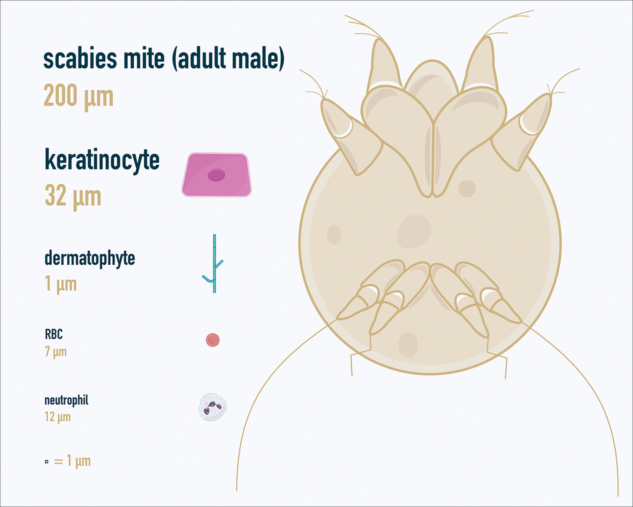 Figure1