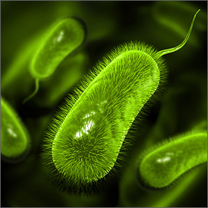 What's the best secondary treatment for patients who fail initial triple therapy for H pylori?