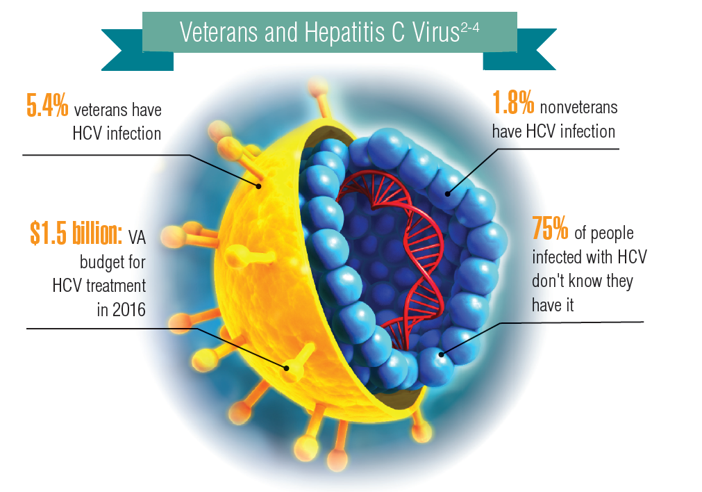 Hepatitis C Virus Diagram