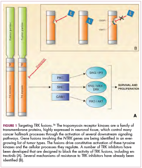 Genetics of Breast and Gynecologic Cancers (PDQ®) - PDQ Cancer Information  Summaries - NCBI Bookshelf