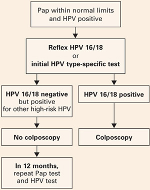 HPV detecție tipuri cu risc crescut + genotipare extinsă - Synevo Hpv high risk positive result