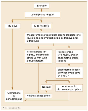 Luteal Phase Deficiency: Pathophysiology, Diagnosis, and Treatment