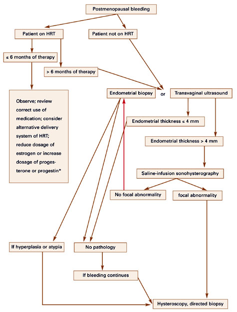 Postmenopausal Aub: Rule Out Endometrial Cancer First 