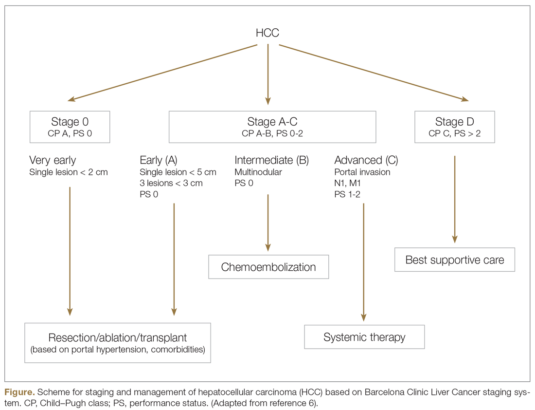 Scheme for staging and management of hepatocellular carcinoma (HCC) based on Barcelona Clinic Liver Cancer staging system.