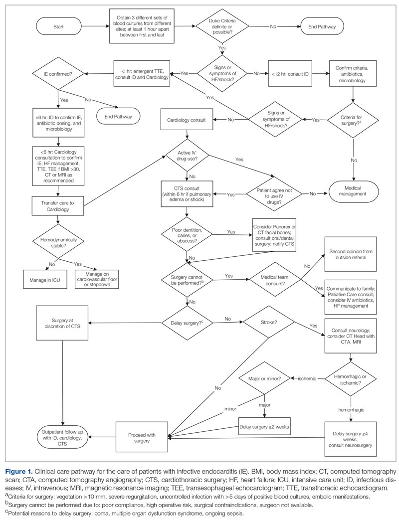 Clinical care pathway for the care of patients with infective endocarditis