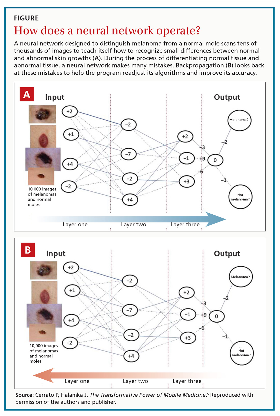 How does a neural network operate?