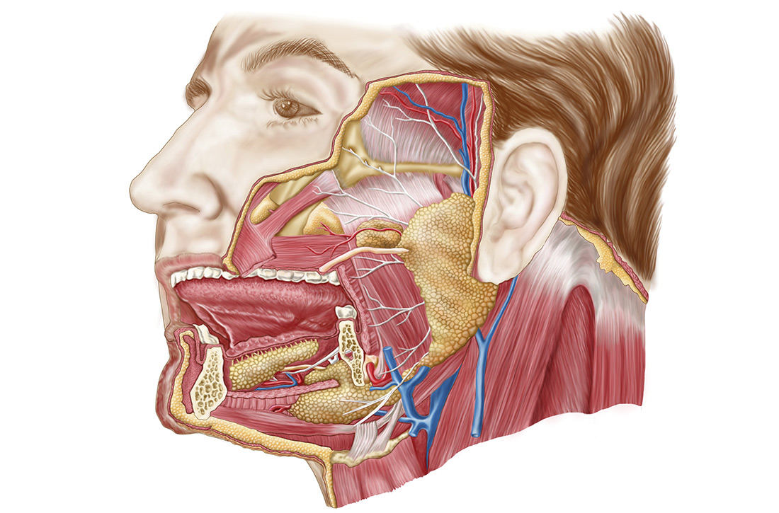 Head & neck cancer