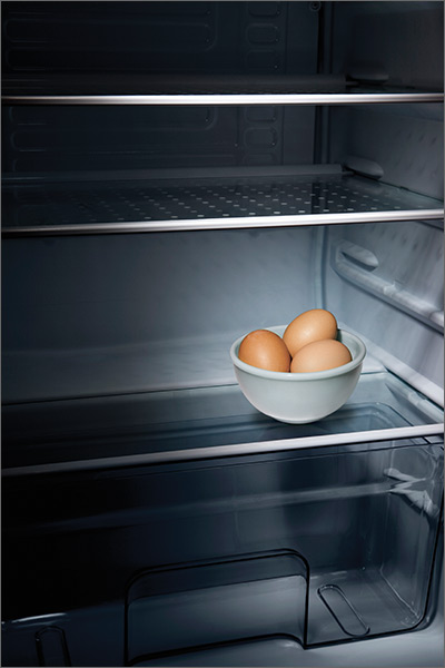 Eggs in empty refrigerator