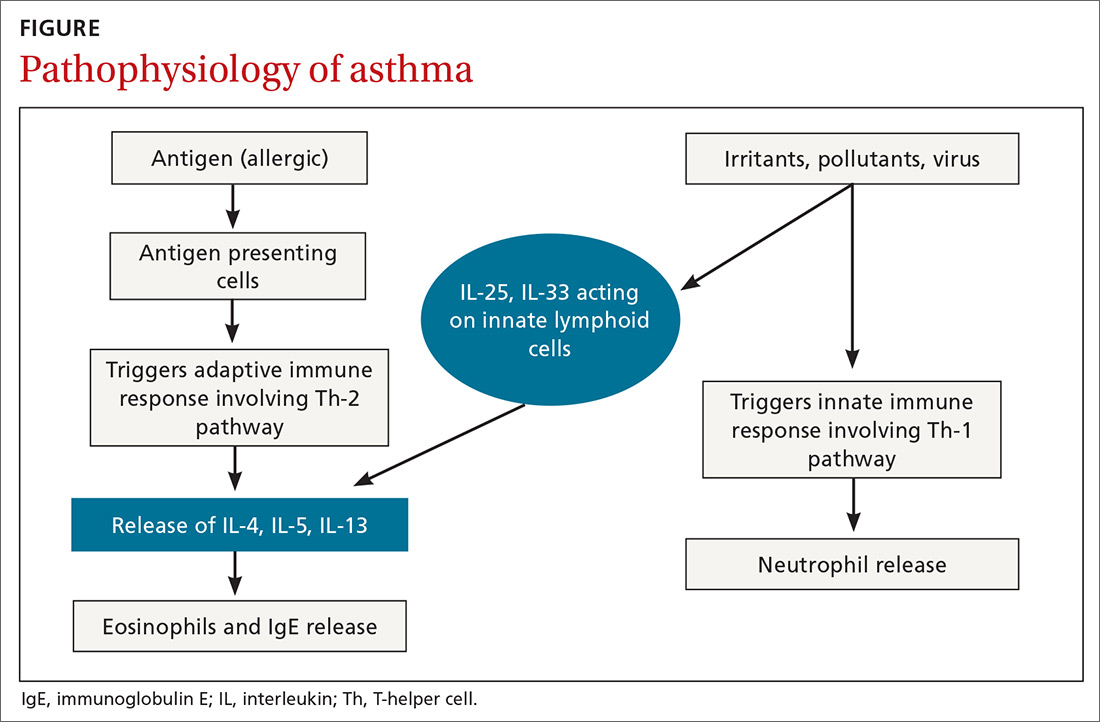 Asthma Pathophysiology Diagram