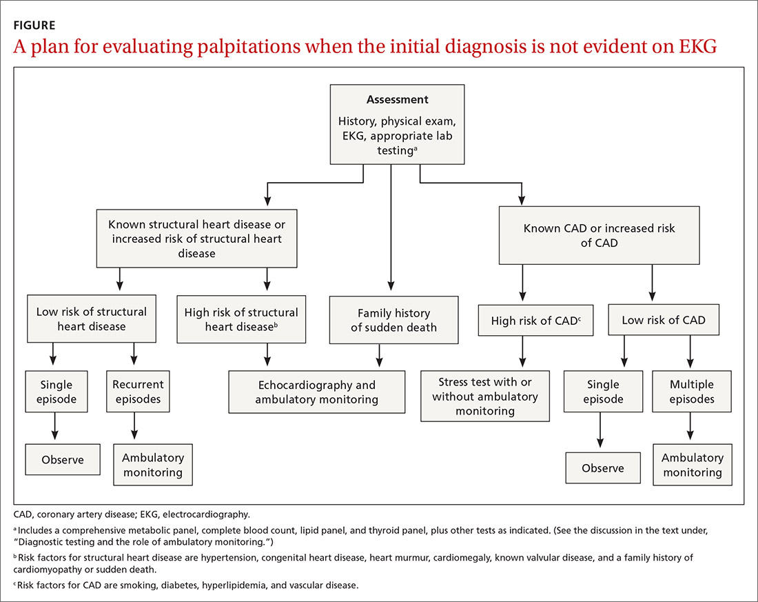 A plan for evaluating palpitations when the initial diagnosis is not evident on EKG