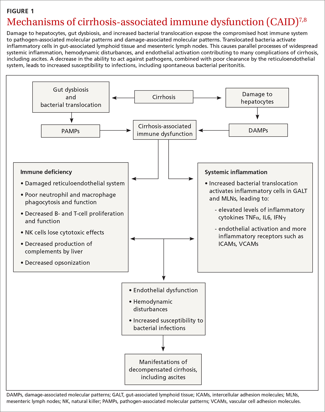 Mechanisms of cirrhosis-associated immune dysfunction (CAID)