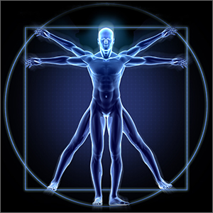 blue and black human body anatolmy illustration