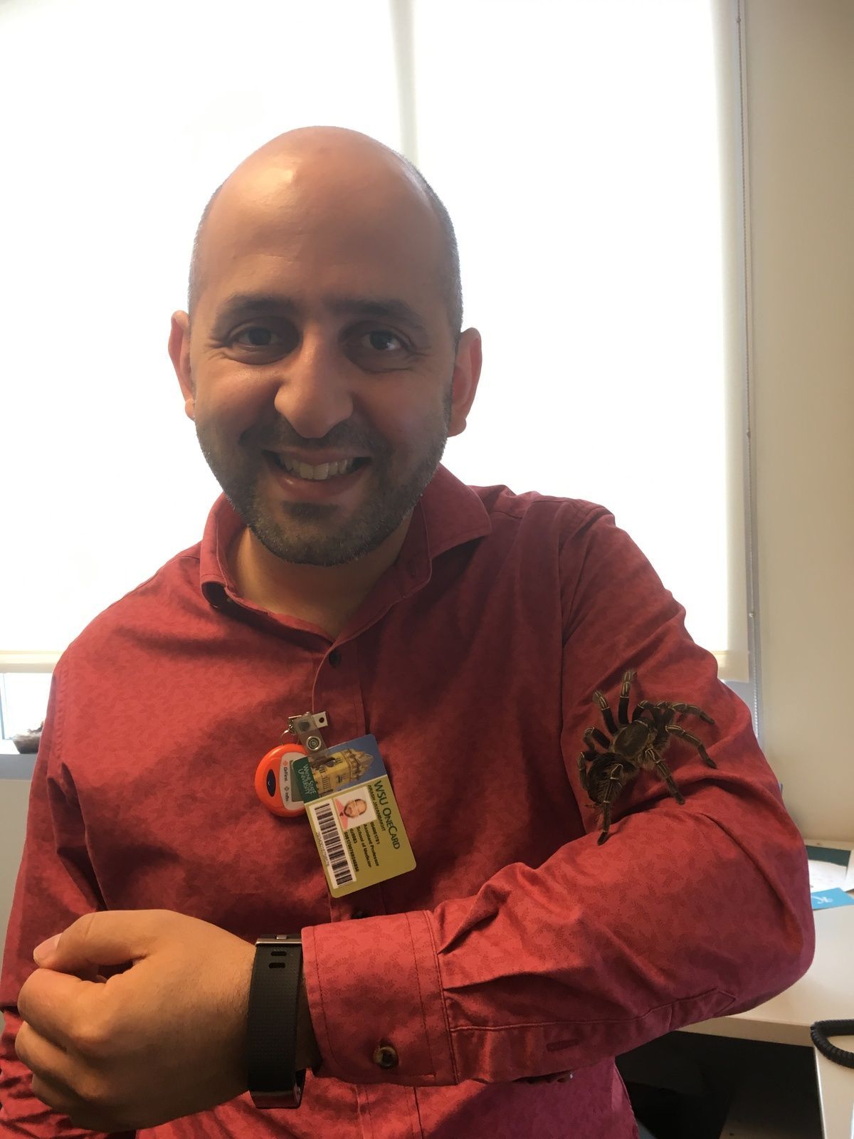 Dr. Javanbakht with his research tarantula, Tony.