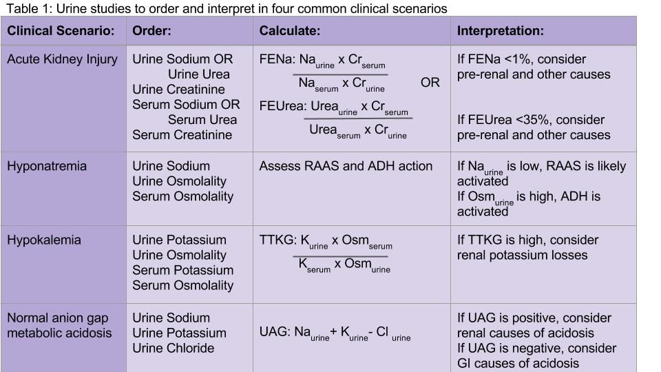 A chart indicates urine studies to order and interpret in four common clinical scenarios