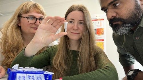 Empa researchers Peter Nirmalraj and Olena Synhaivska from the Transport at Nanoscale Interfaces lab and Silvia Campioni from the Cellulose & Wood Materials lab (from right to left) decipher important steps in the molecular disease process of Parkinson's.