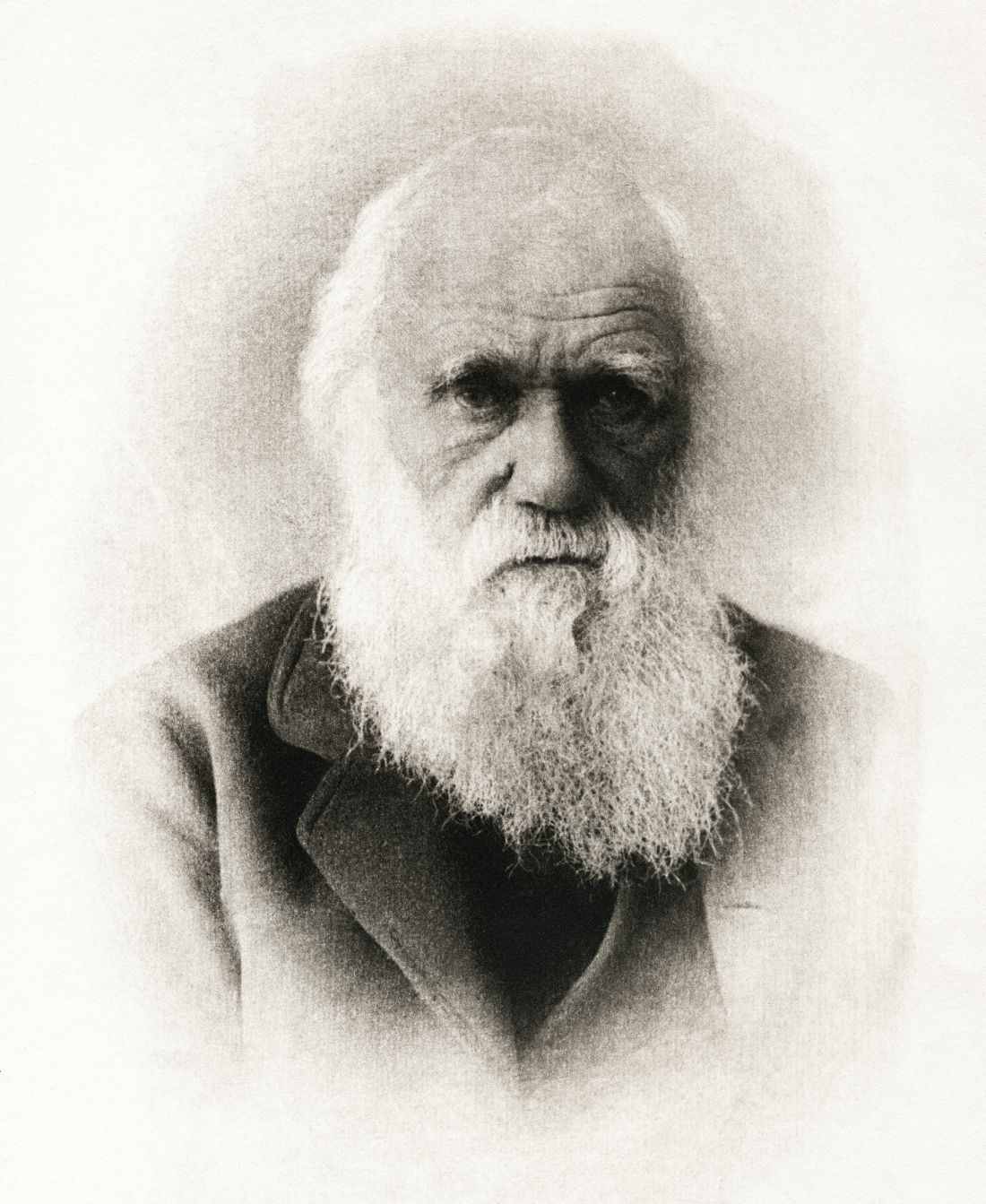 Darwin’s diet of species, umbrellas’ searing SPF, and trypophobia ...