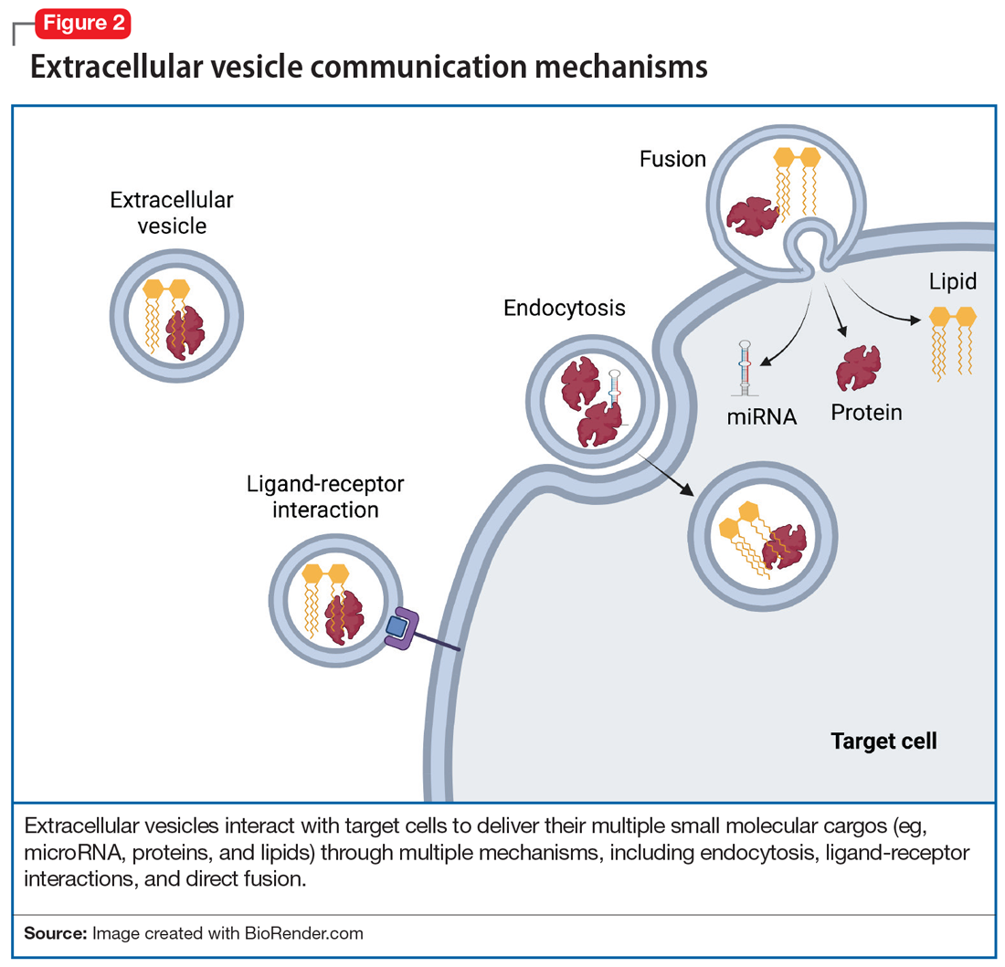 Extracellular vesicle communication mechanisms