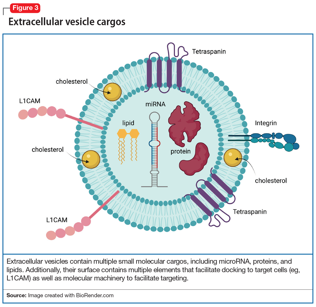 Extracellular vesicle cargos