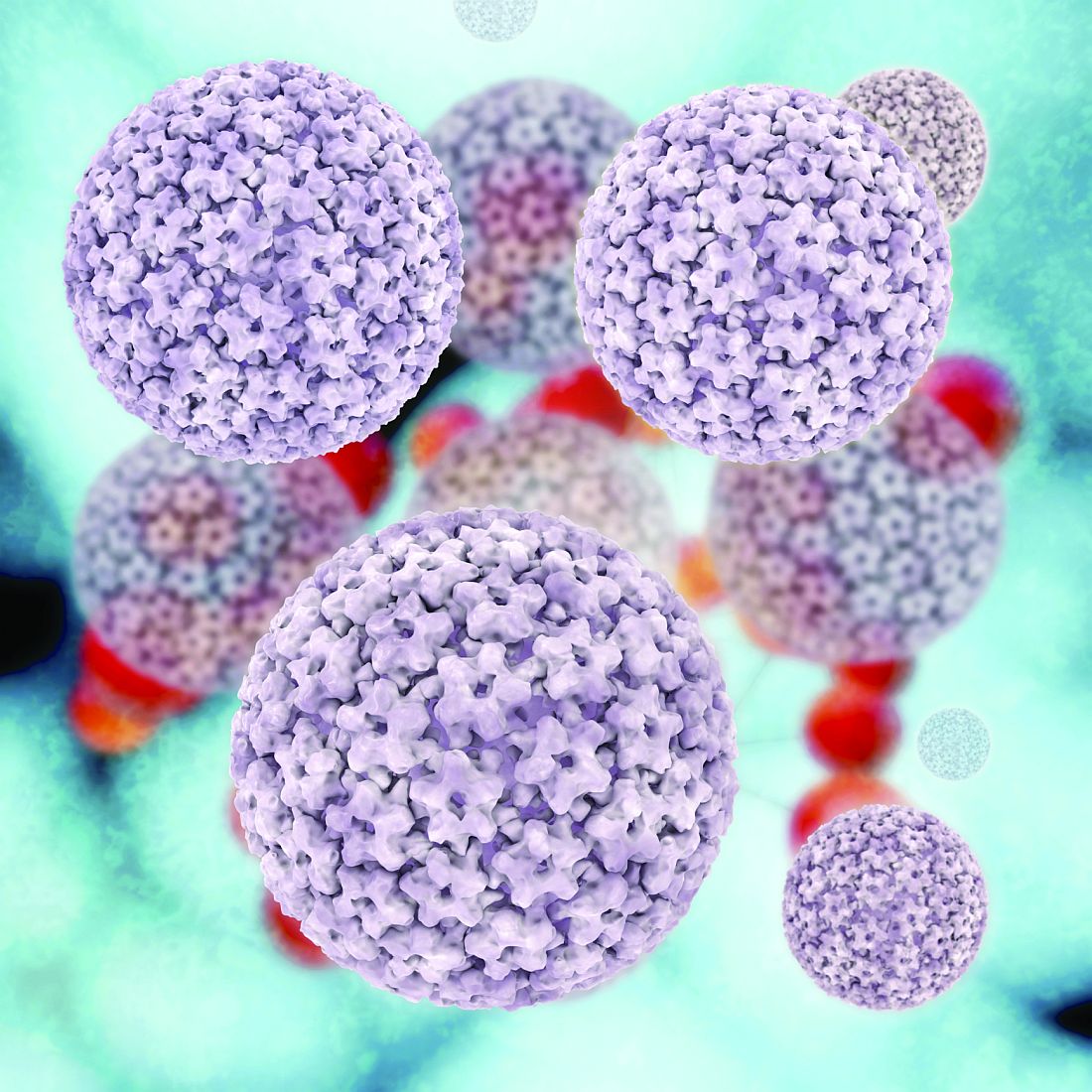 Crohn's disease tied to anal canal high-risk HPV infection | GI and  Hepatology News