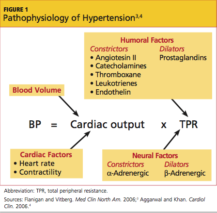 Hipertóniás krízis. Kardiológia