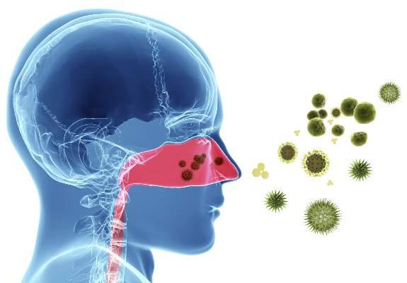 guideline-clarifies-first-line-treatment-for-allergic-rhinitis-chest