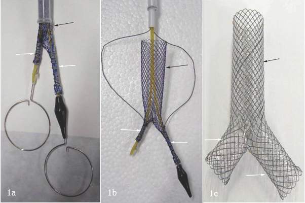 A dual Y-shaped stent can improve QOL with airway fistulas