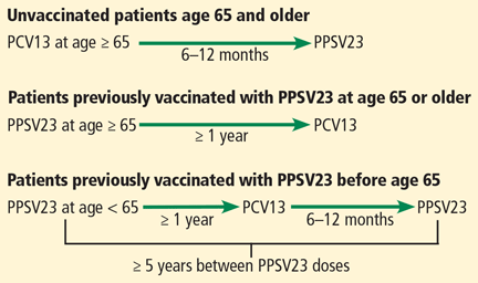 Navigating Pneumococcal Vaccination In Adults MDedge Family Medicine   RTEmagicC Pallotta PneumococcalVaccineInAdults F2 04  