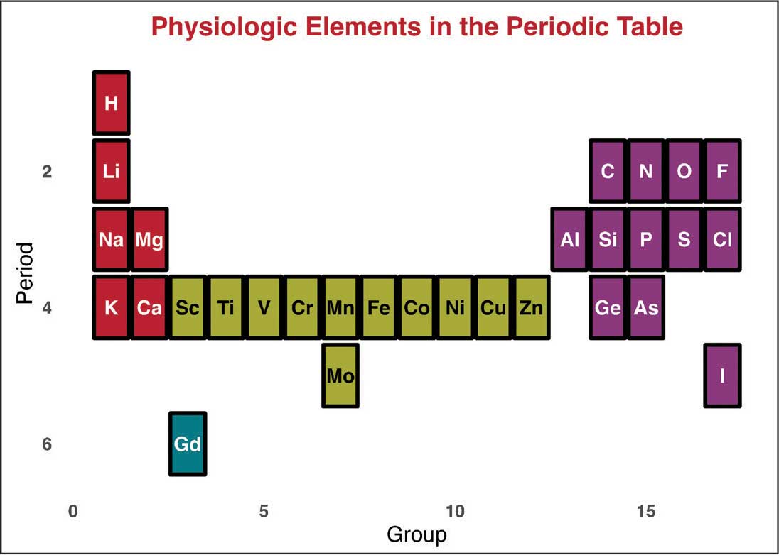 APPENDIX 1. The periodic table of physiologic elements excludes rare earth metals, such as gadolinium. The f-block elements, including gadolinium, are named for their partially filled f-electron orbitals. The electronic configuration of cationic gadolinium (Gd³+) is 1s² 2s² 2p6 3s² 3p6  4s² 3d10 4p6 5s² 4d10 5p6 4f7, while the configuration of anionic iodine (I+), the physiologic element with the highest atomic number, is 1s² 2s² 2p6  3s² 3p6 3d10 4s² 4p6 4d10 5s² 5p5. The unpaired electrons in the f-orbitals of gadolinium confer its distinct chemical, electromagnetic, and optical properties. These properties arise from the electron orbital configuration, which governs the behavior of all elements. Mammals do not naturally incorporate rare earth metals, including gadolinium, into the usual physiologic milieu.