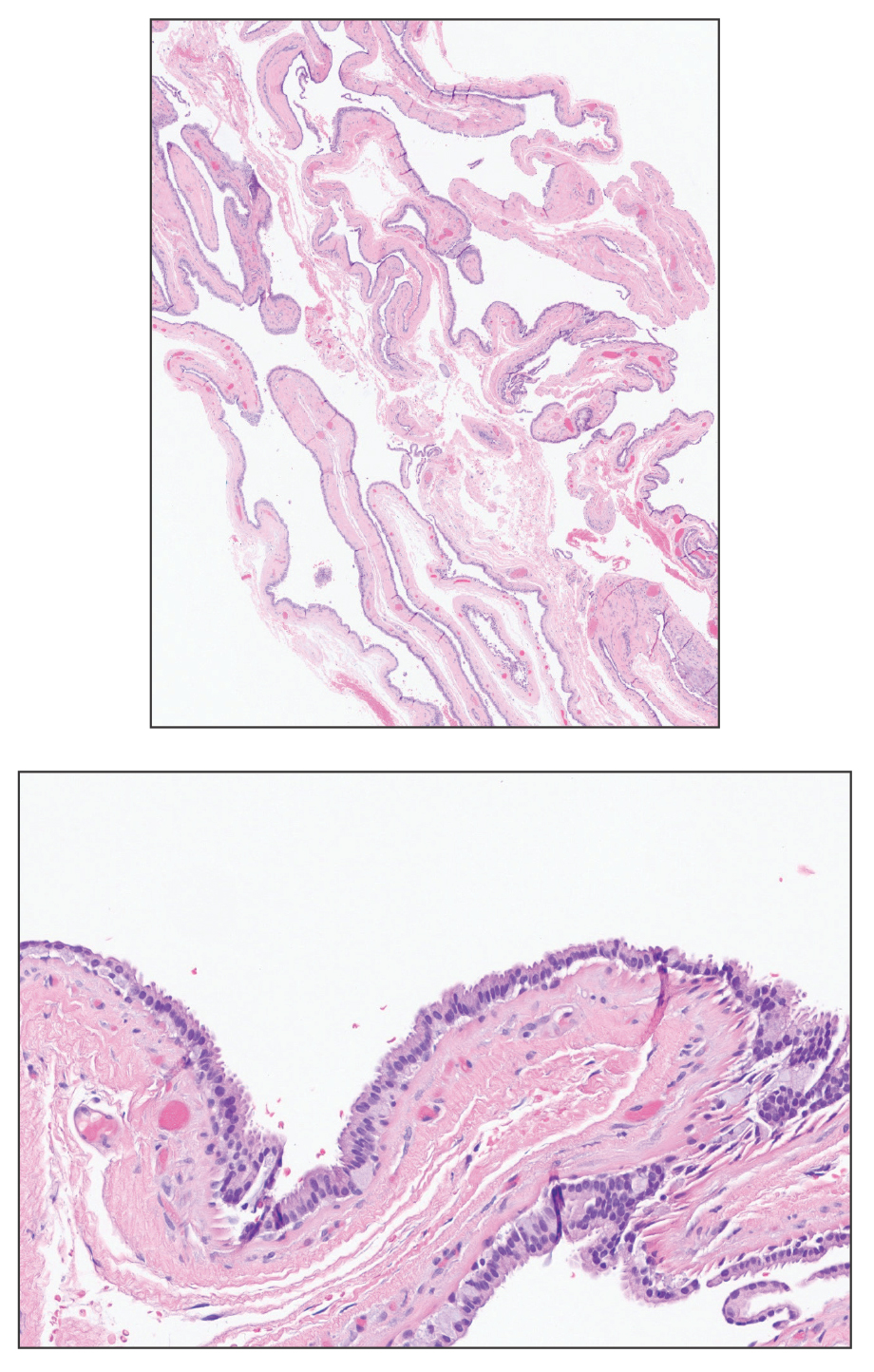 image quiz