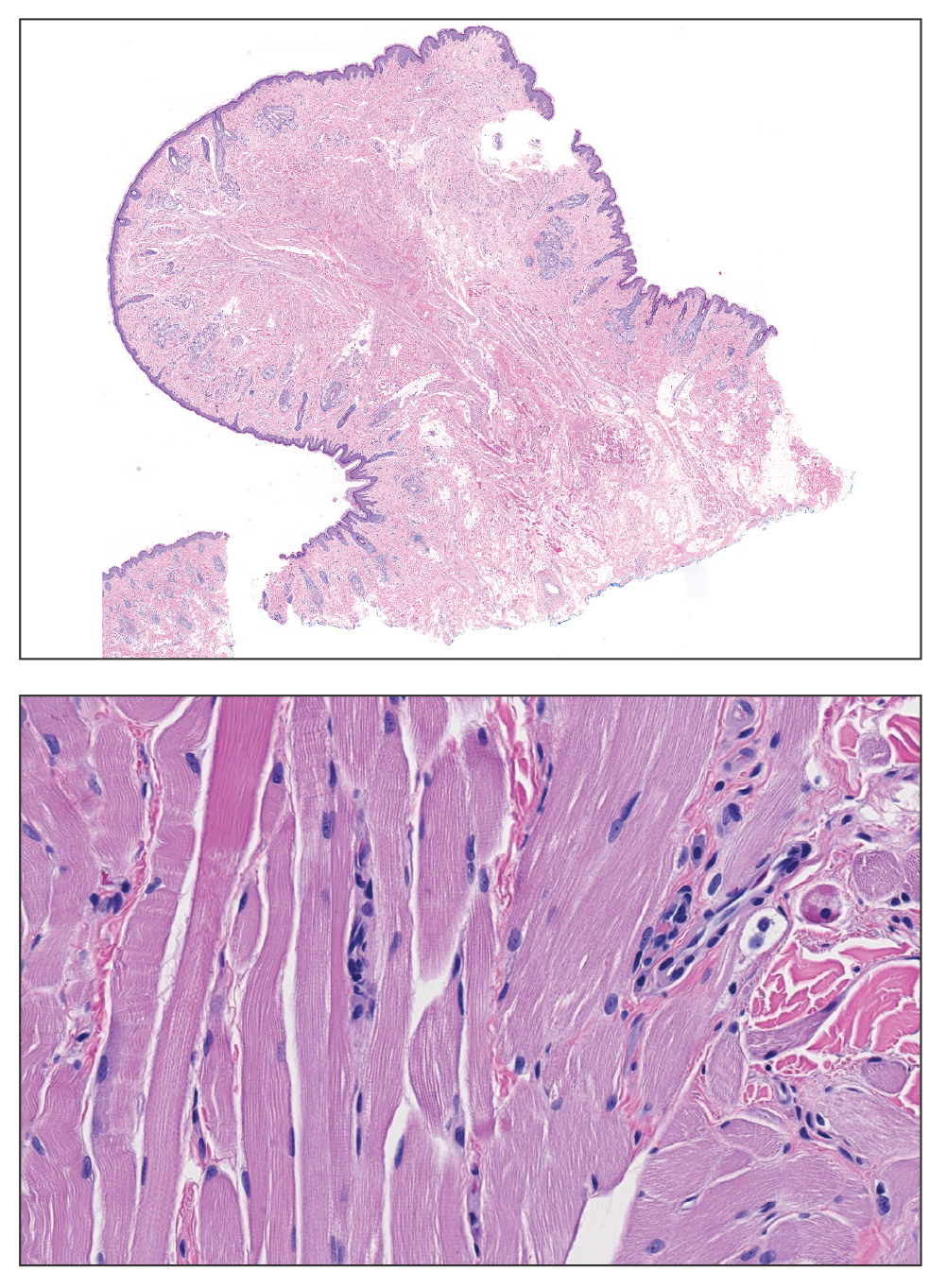 CT116002053-Quiz_top_bottom