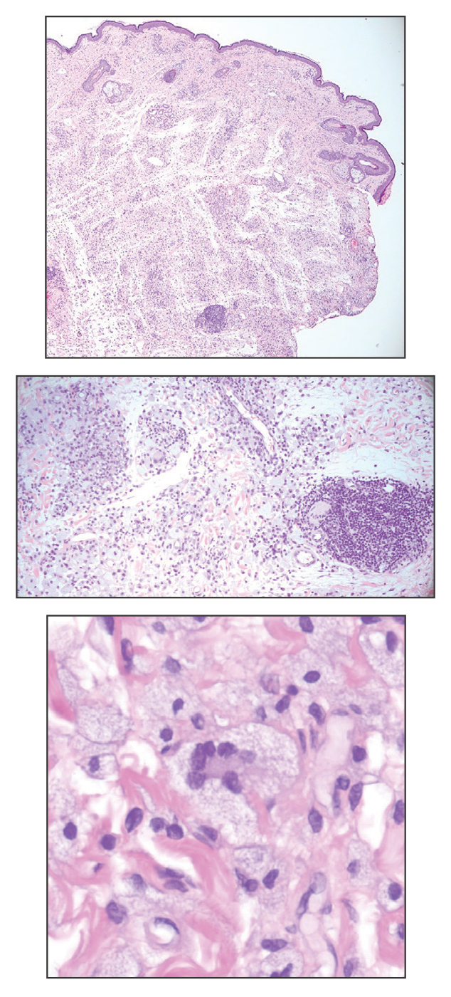 CT117003083-Quiz_top_middle_bottom
