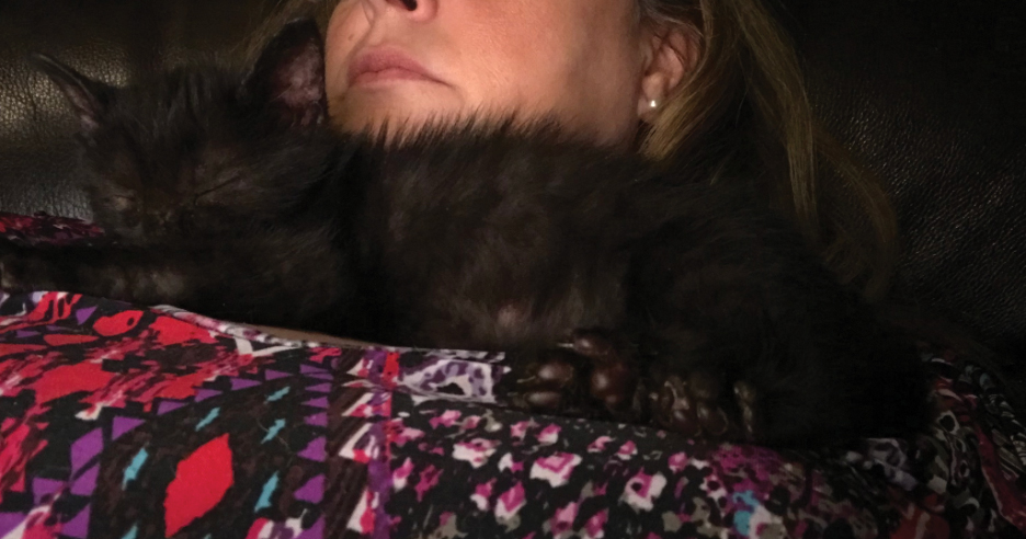 FIGURE. Patient with a kitten sleeping on the upper chest in the area of the main distribution of the rash diagnosed as tinea corporis.