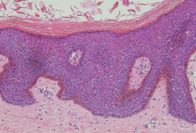 O_Donnell-0326-figure