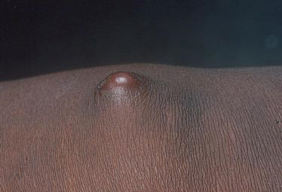 Smith_0925_Fig3